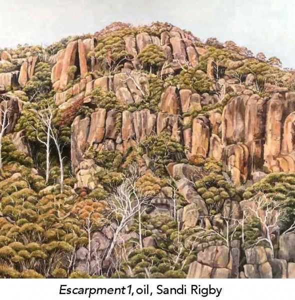 Sandi Rig Three: Sandi Rigby Exhibition at Art Gallery on Darling.